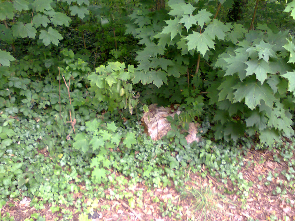 Głaz narzutowy mały Part Rusinowa 08 2015