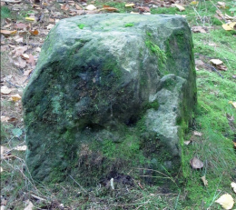Kamień Napoleona na Drezdeńskich Wrzosowiskach